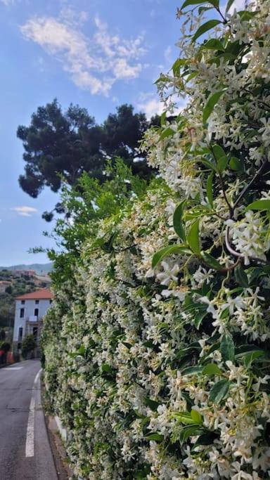 Vista Bella House Apartment Sanremo Exterior photo